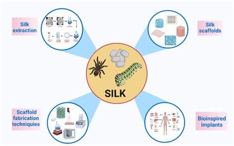  Silkonun Muhendislik Harikaları ve Biyomalzeme Uygulamaları!