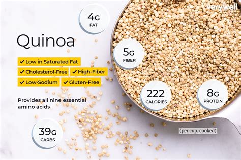  Quinoa - Sürdürülebilir Bir Protein Kaynağı ve Yüksek Performanslı Tekstil Uygulamaları İçin Yeni Bir Trend!